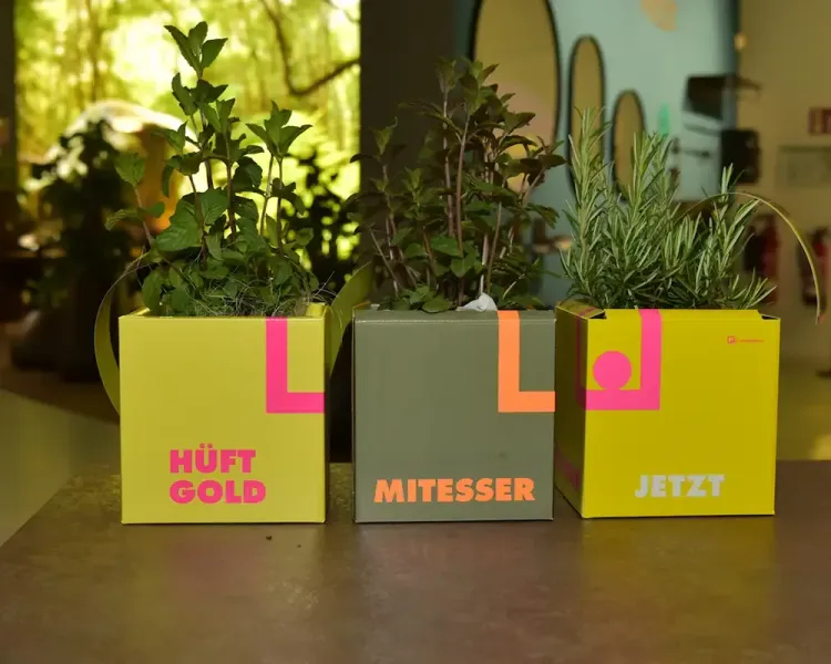 Drei bepflanzte Kräuterboxen mit den Aufschriften „Hüftgold“, „Mitesser“ und „Jetzt“