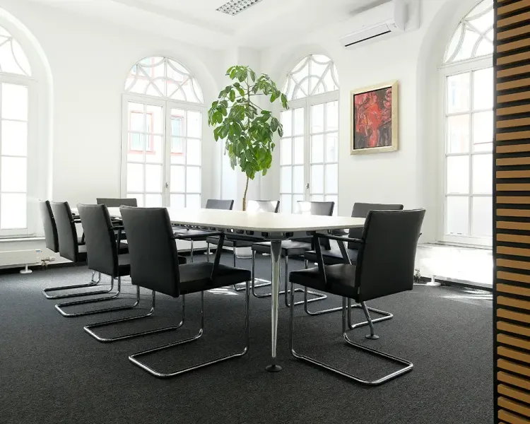 Konferenzraum mit langem Tisch, schwarzen Freischwingern und Zimmerbaum