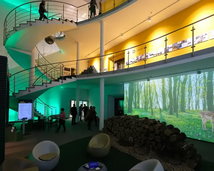 Blick ins Foyer mit Wendeltreppe, Waldprojektion, Holzstapel und Sitzeiern