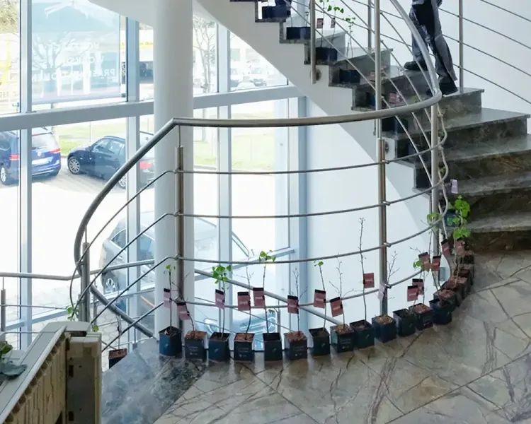 Wendeltreppe, an deren Geländer viele kleine Baumsetzlinge aufgereiht sind