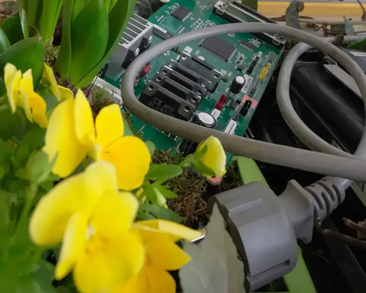 Bepflanztes Beet mit Moos, darin eine Platine und Kabel als Dekoration
