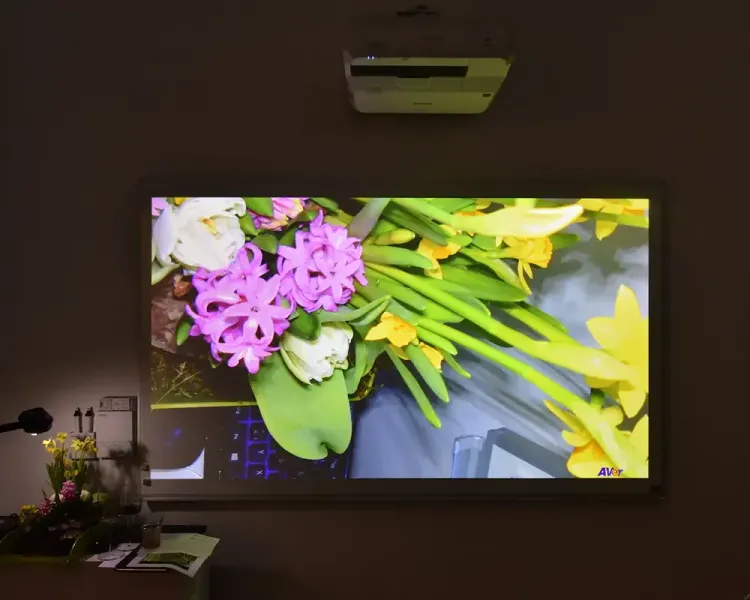 Deckenbeamer wirft ein Blumenmotiv auf eine Projektionsfläche