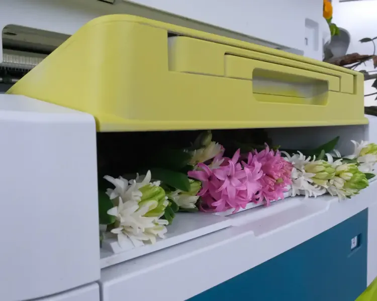Blumen liegen in der Papierablage eines Multifunktionsdruckers