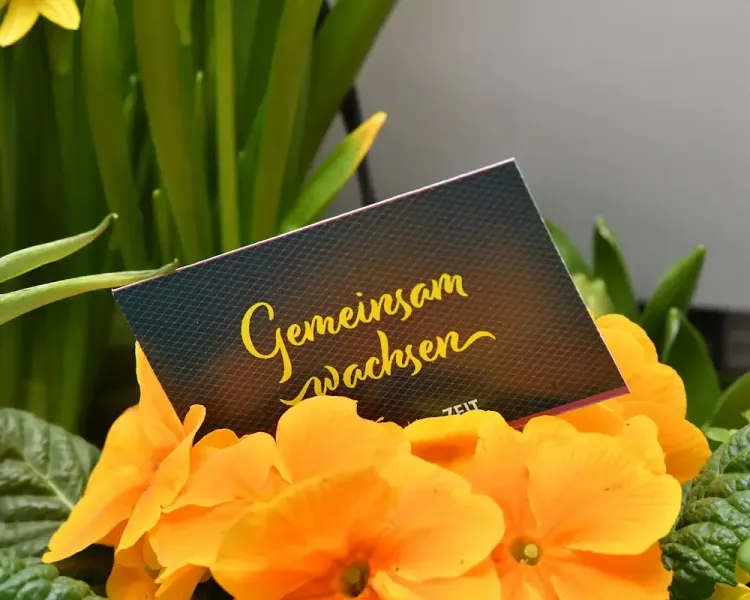 Karte mit dem Schriftzug „Gemeinsam wachsen“ zwischen orangefarbenen Primeln