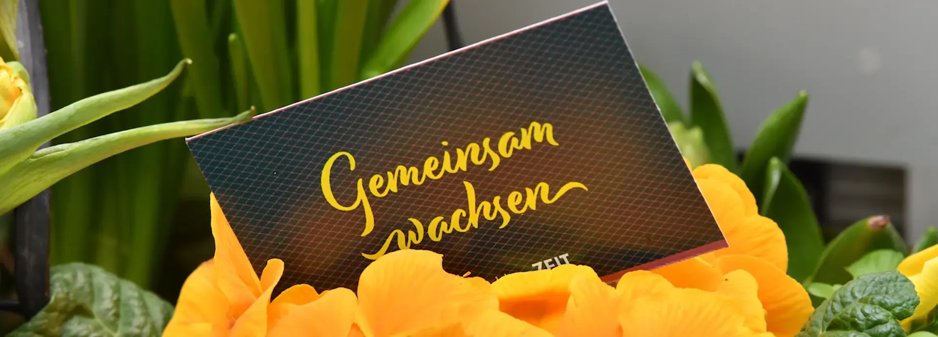 Karte „Gemeinsam wachsen“ zwischen orangefarbenen Primeln